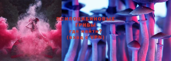 ALPHA-PVP Каменка