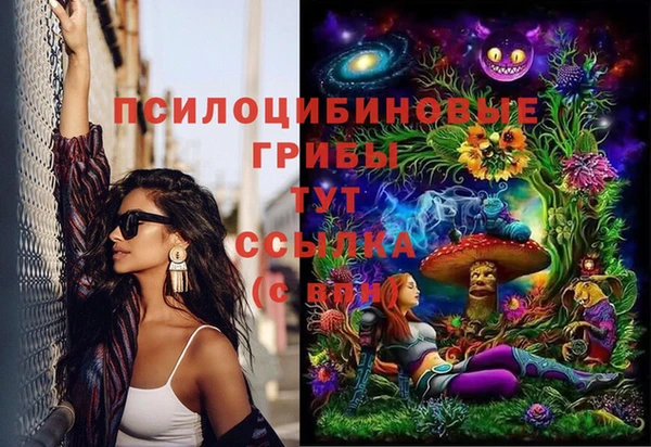 ECSTASY Каменногорск