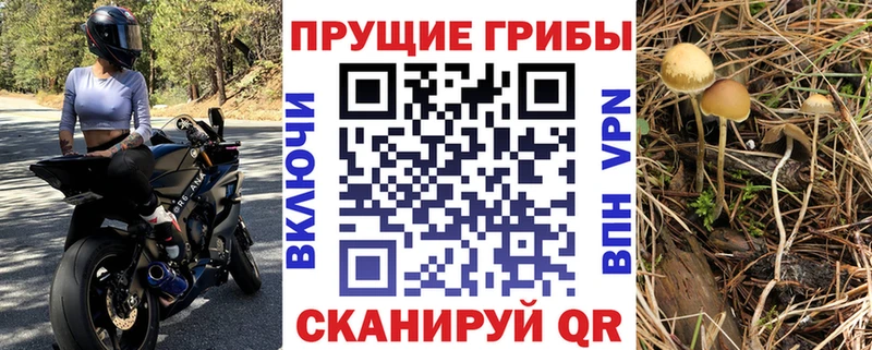 Галлюциногенные грибы мухоморы  Купить где  Батайск 
